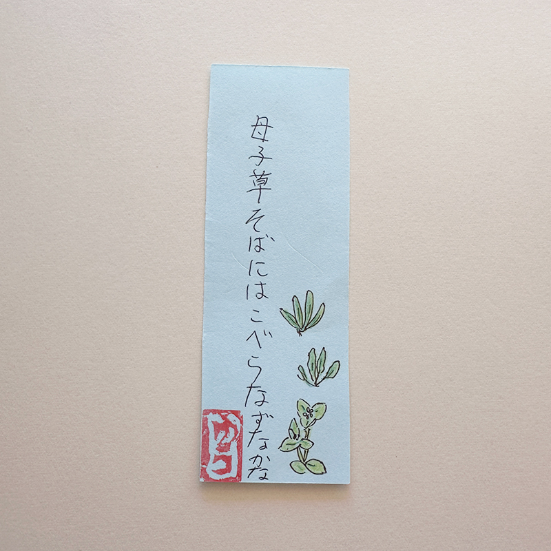 母子草そばにはこべらなずなかな