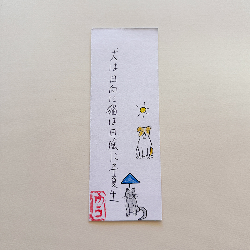 犬は日向に猫は日陰に半夏生