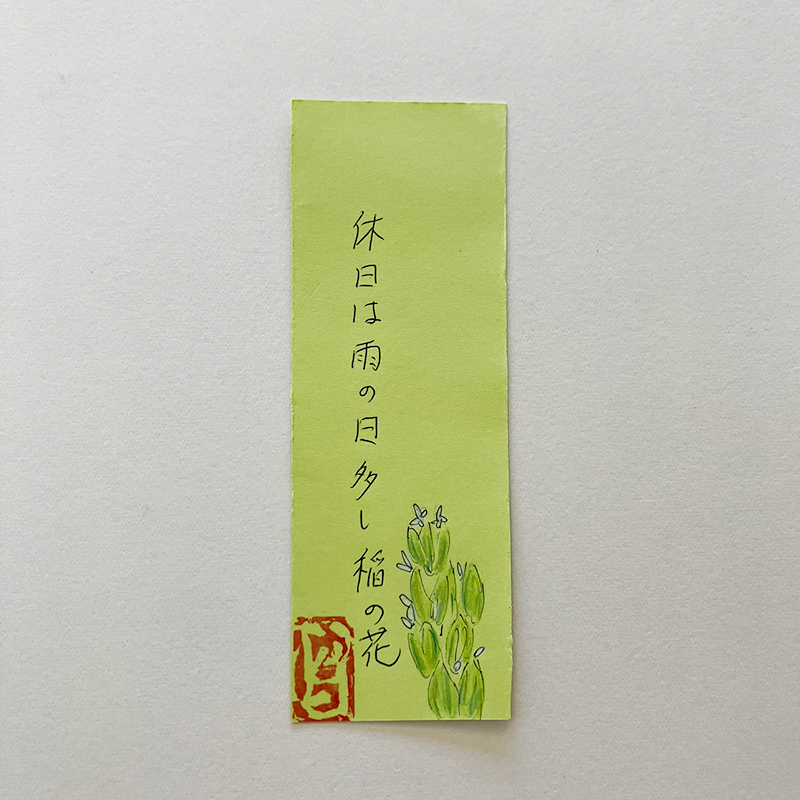 休日は雨の日多し稲の花