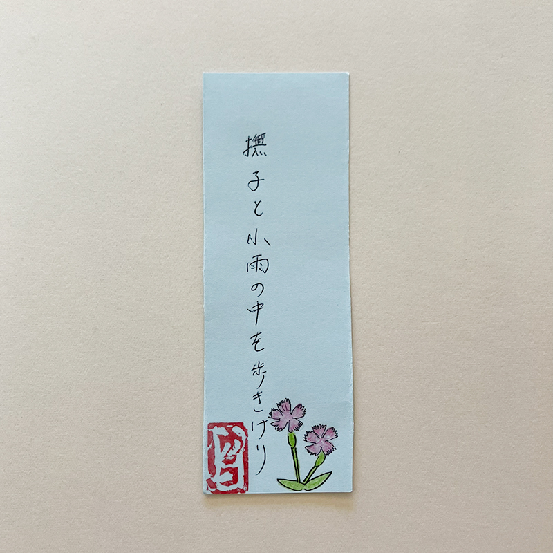 撫子と小雨の中を歩きけり