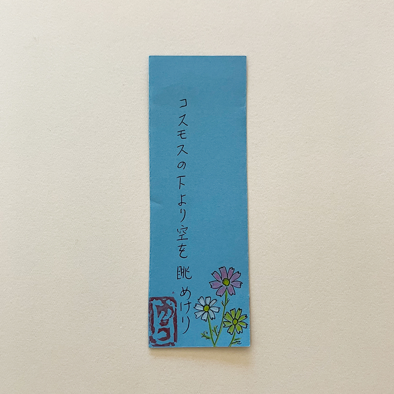 コスモスの下より空を眺めけり