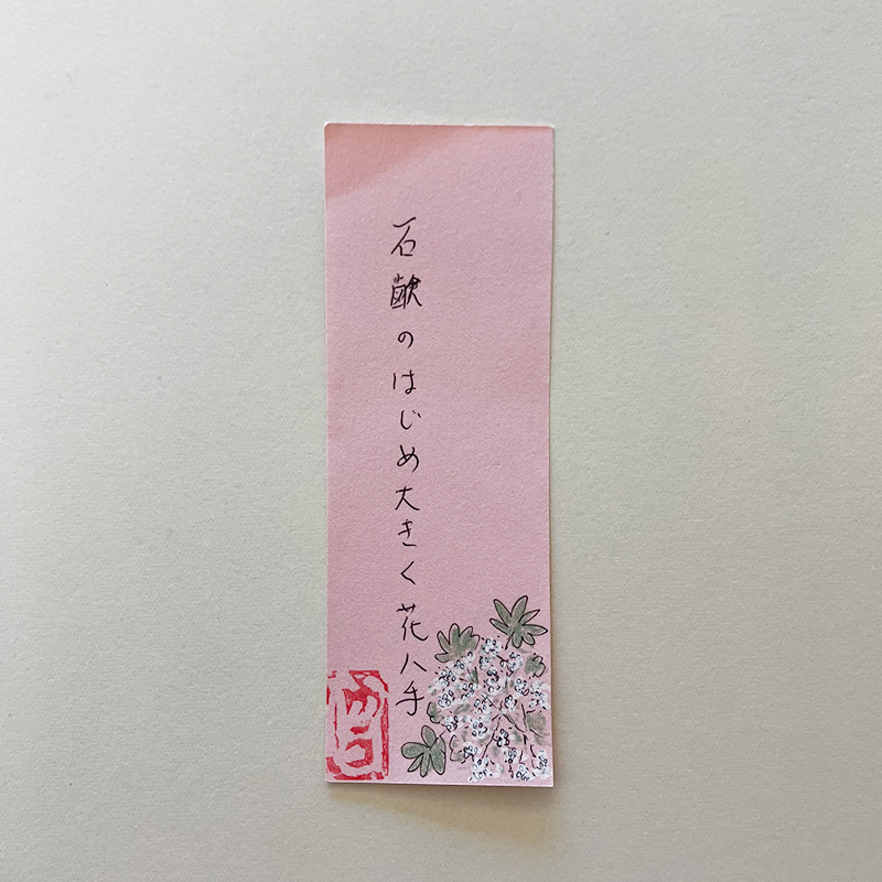 石鹸のはじめ大きく花八手