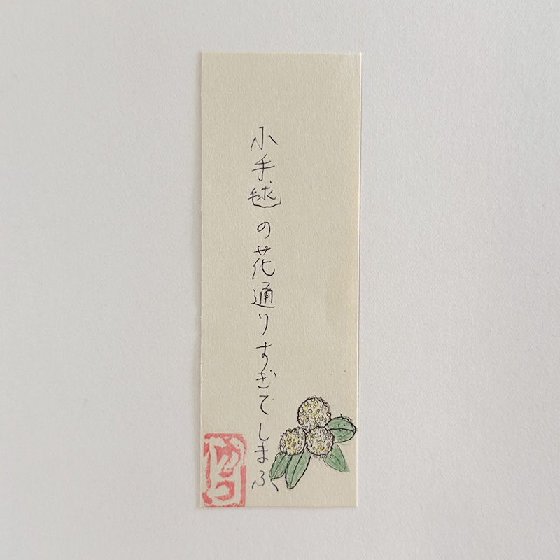 小手毬の花通りすぎてしまふ