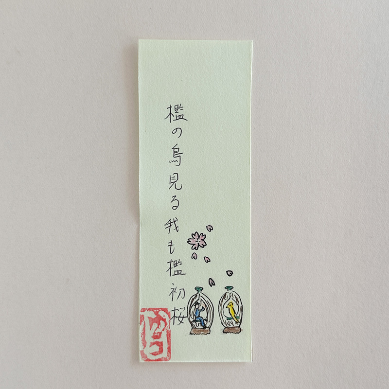 檻の鳥見る我も檻初桜