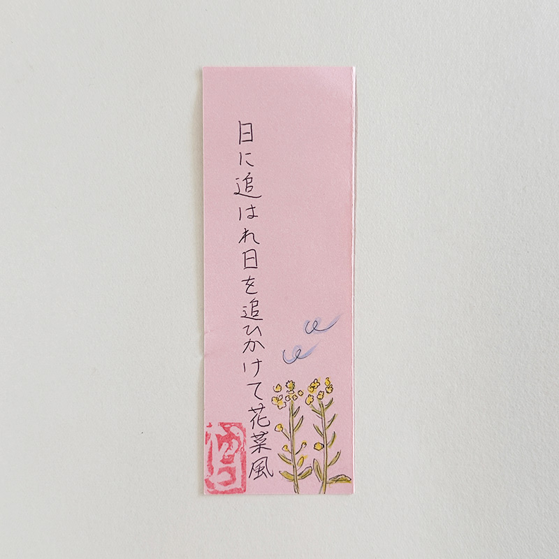 日に追はれ日を追ひかけて花菜風