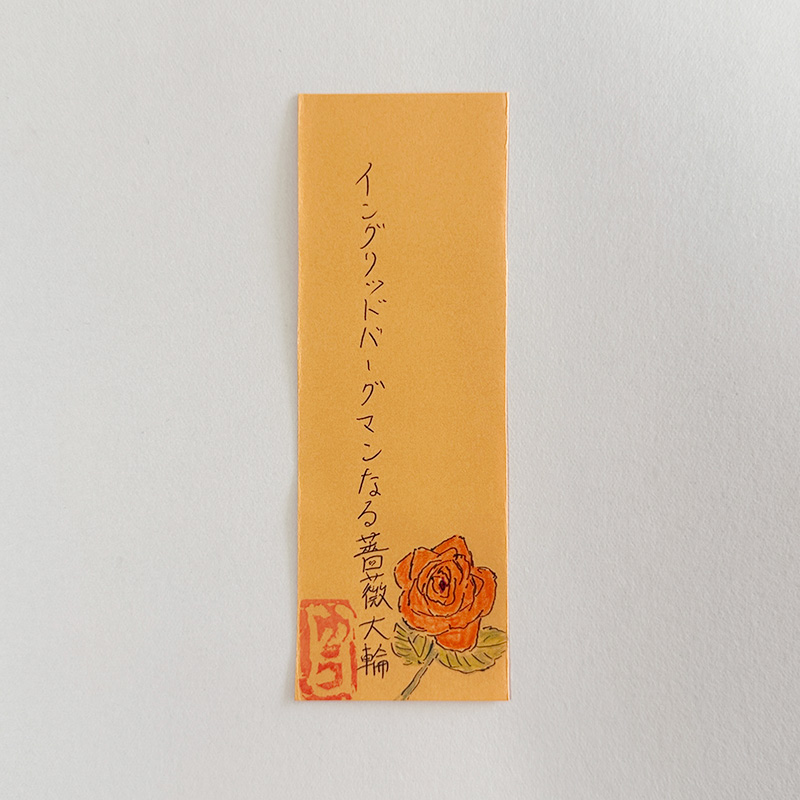 イングリッドバーグマンなる薔薇大輪